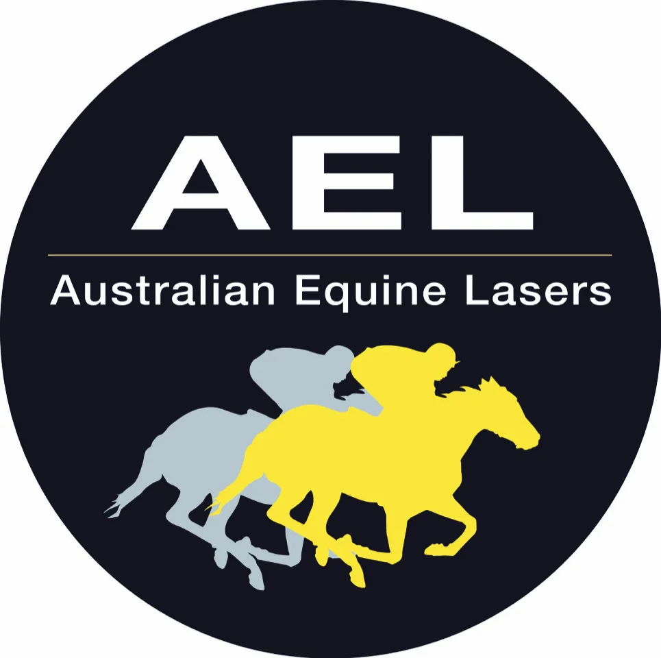 ael — CY news