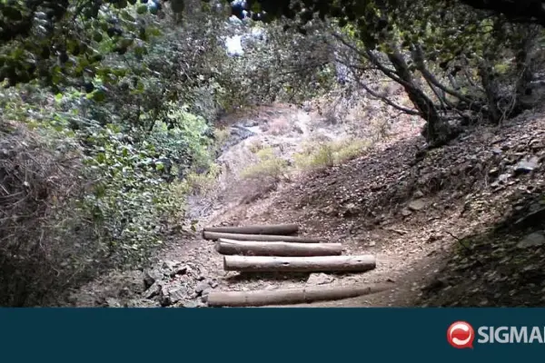 τμήμα δασών — CY news