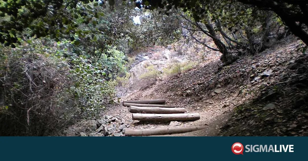 τμήμα δασών — CY news