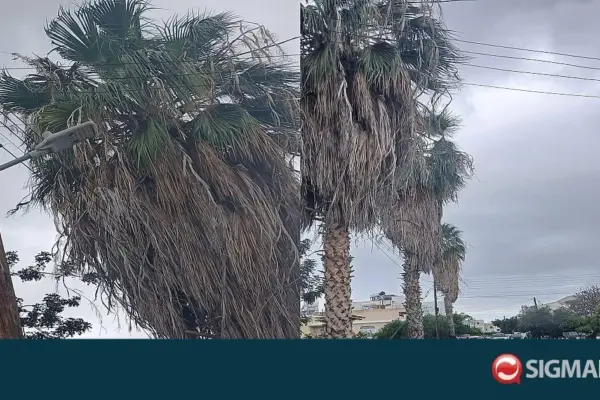 κίνδυνοσ — CY news
