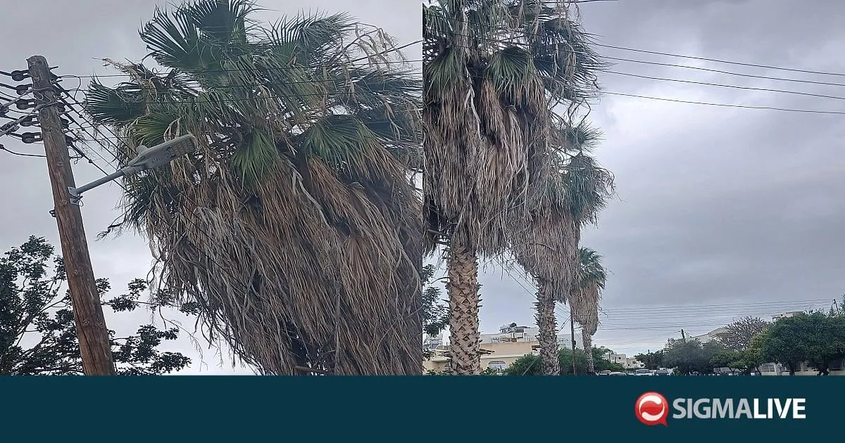κίνδυνοσ — CY news
